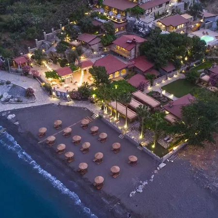 Kaktus, Florya *