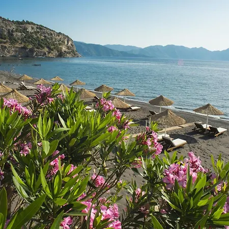 Kaktus, Florya Marmaris