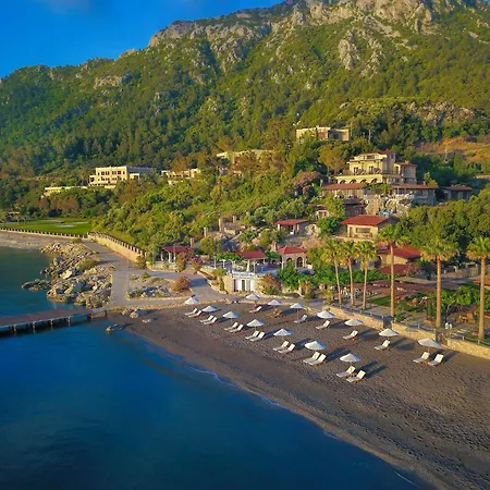 Kaktus, Florya Marmaris
